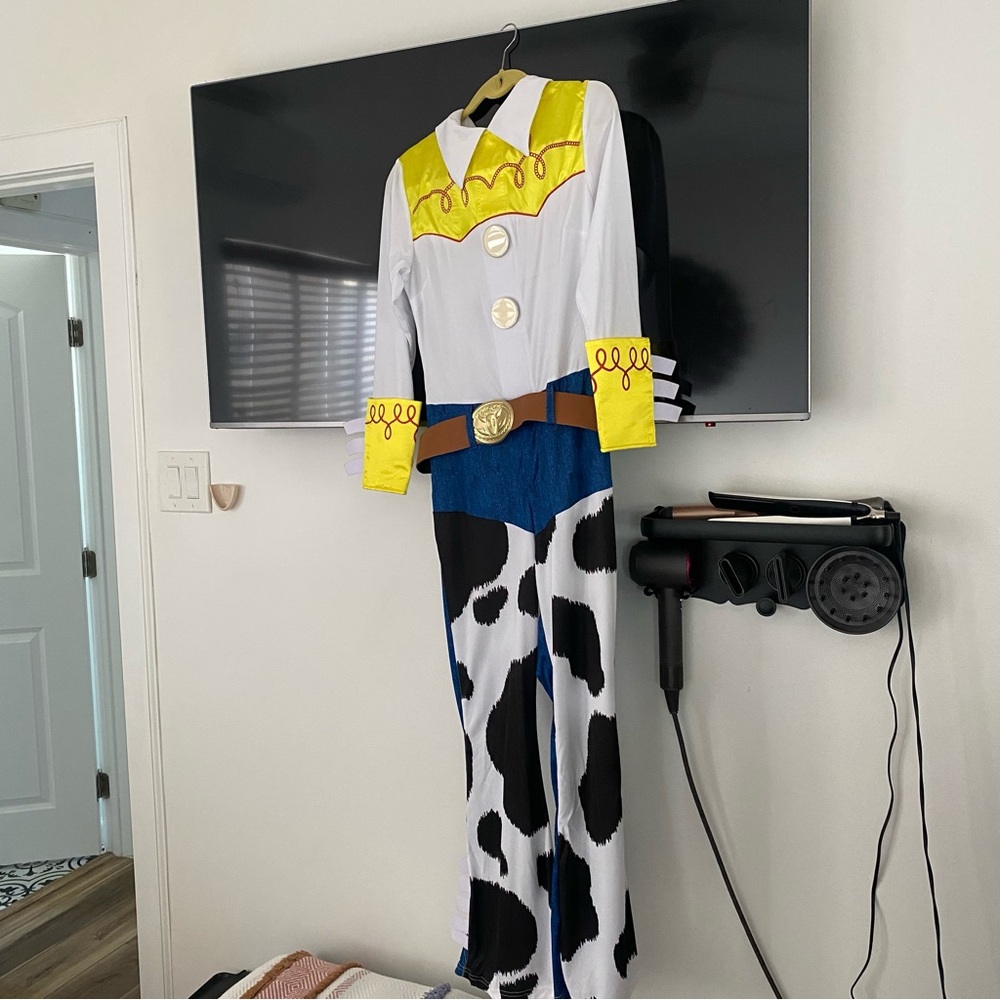 Adult size Large Jesse costume. Worn once, good condition